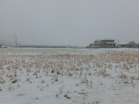 2013_0206_112519-CIMG1483.JPG