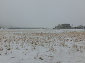2013_0206_112519-CIMG1483.JPG
